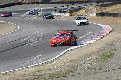 media/May-18-2025-Speed Ventures (Sun) [[b6e29aef7d]]/Green/Session 1 (Turn 3)/